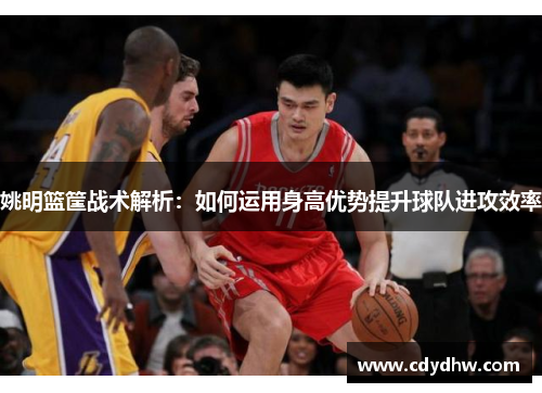 姚明篮筐战术解析：如何运用身高优势提升球队进攻效率