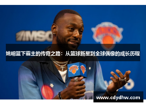 姚明篮下霸主的传奇之路：从篮球新星到全球偶像的成长历程