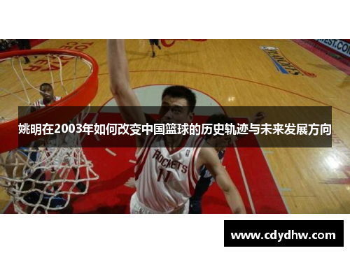 姚明在2003年如何改变中国篮球的历史轨迹与未来发展方向