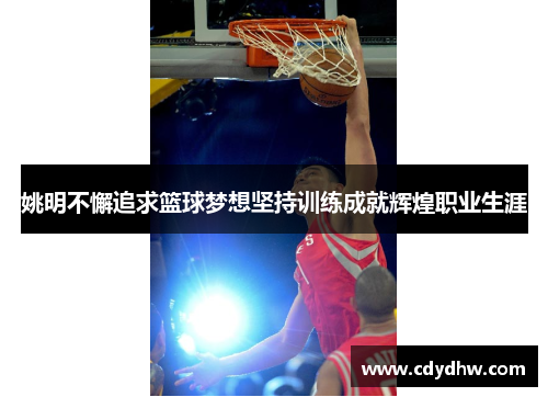 姚明不懈追求篮球梦想坚持训练成就辉煌职业生涯