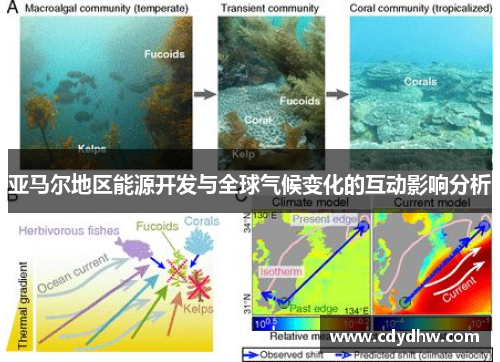 亚马尔地区能源开发与全球气候变化的互动影响分析