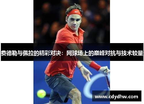 费德勒与佩拉的精彩对决：网球场上的巅峰对抗与技术较量